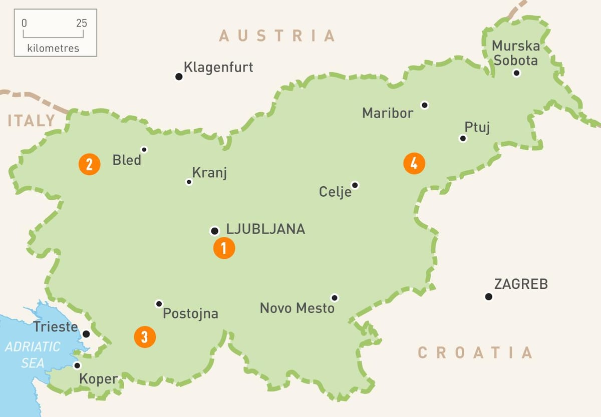 Harta Sloveniei regiuni