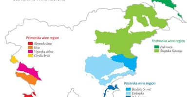 Harta Sloveniei vin